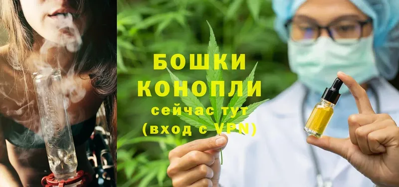 Бошки Шишки THC 21%  Владикавказ 